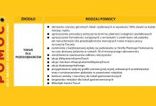 Grafika przedstawia założenia programu Toruń dla Przedsiębiorców 