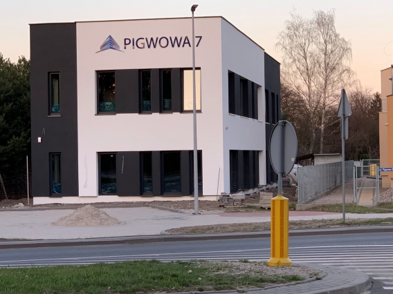 Pigwowa 7