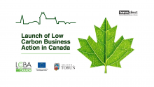 Grafika dotycząca programu Low Carbon Business Action in Canada
